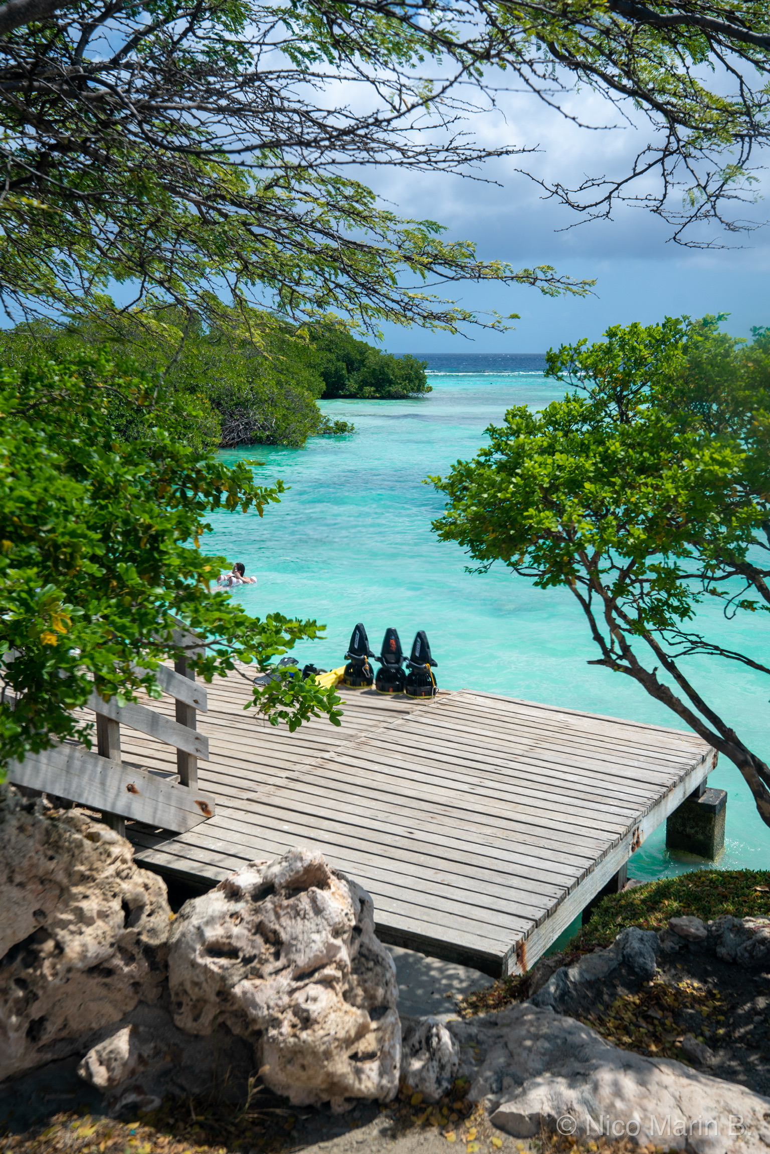Aruba Bob photo 8