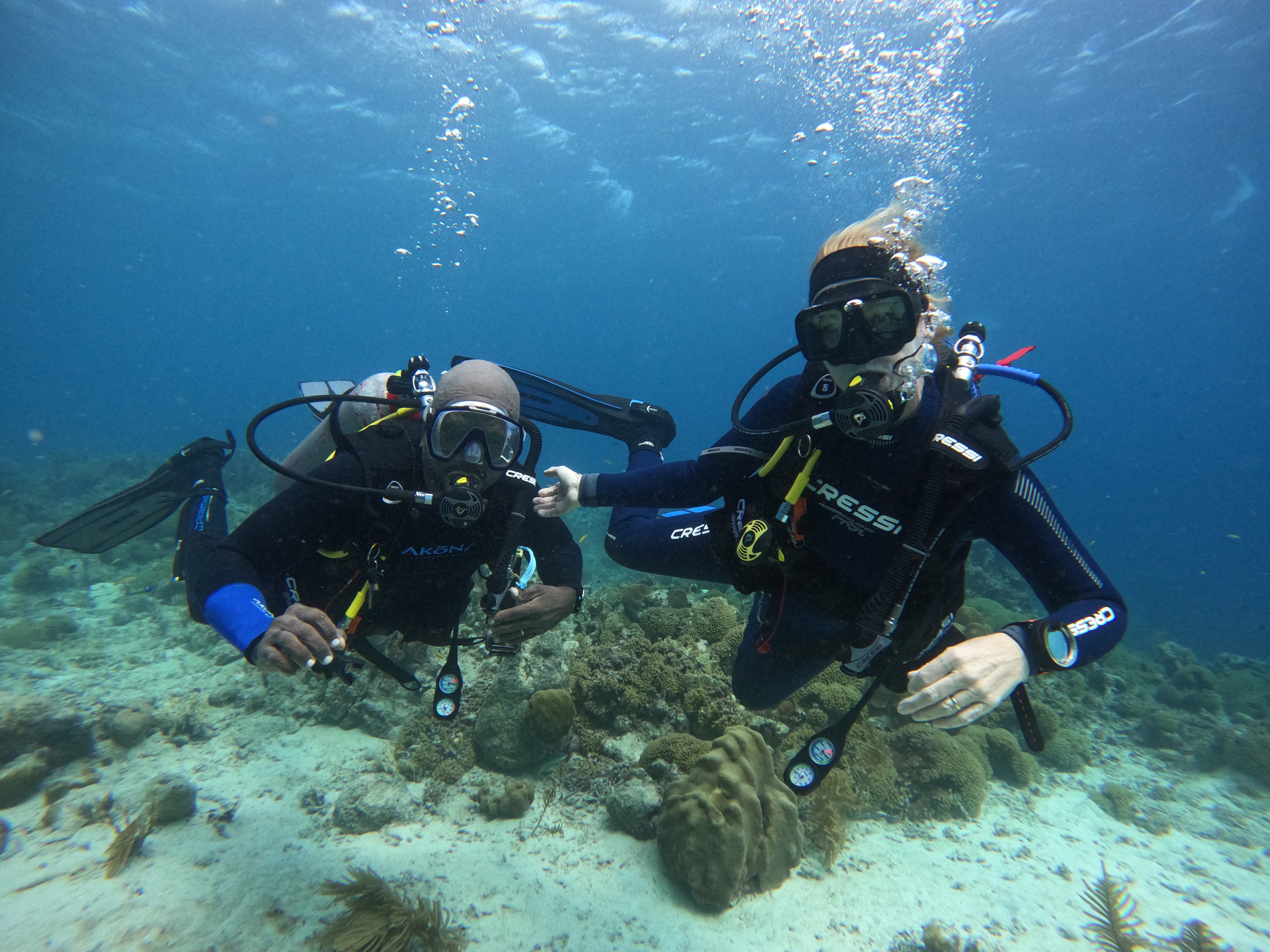 Aruba Bob photo 5