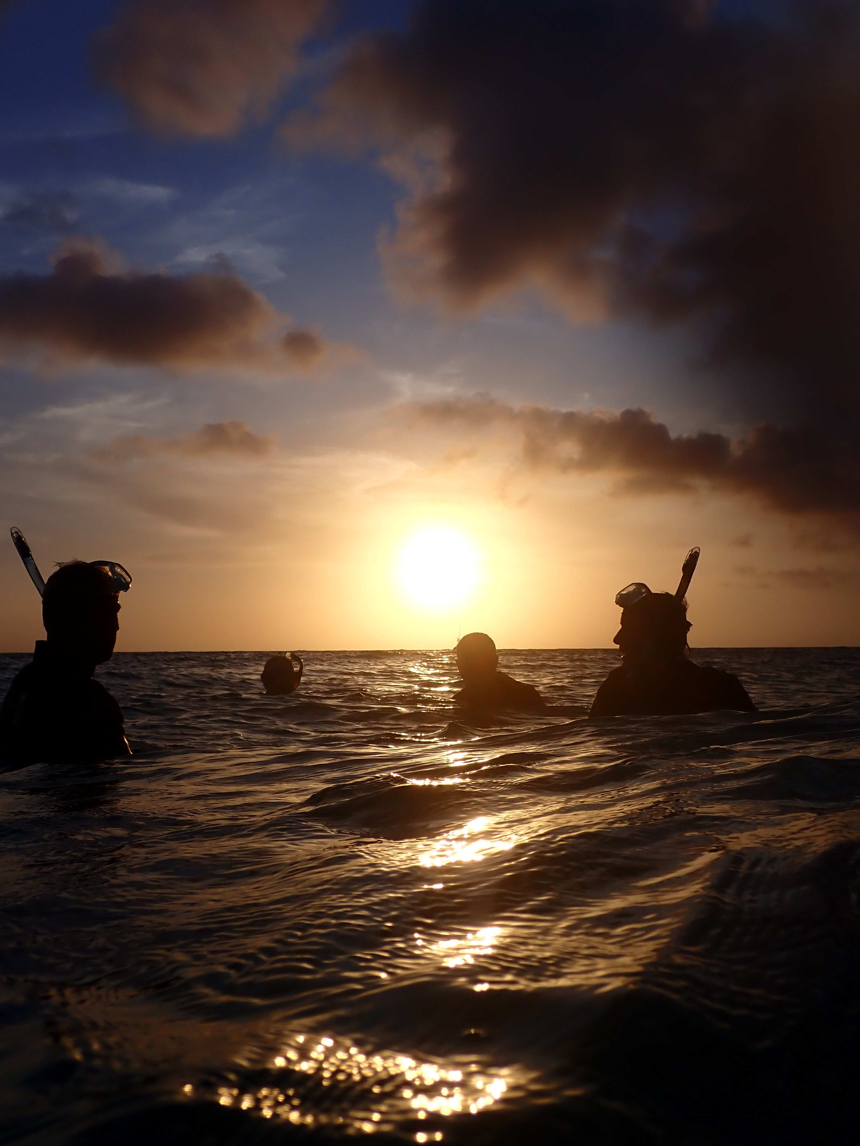 Aruba Bob photo 18