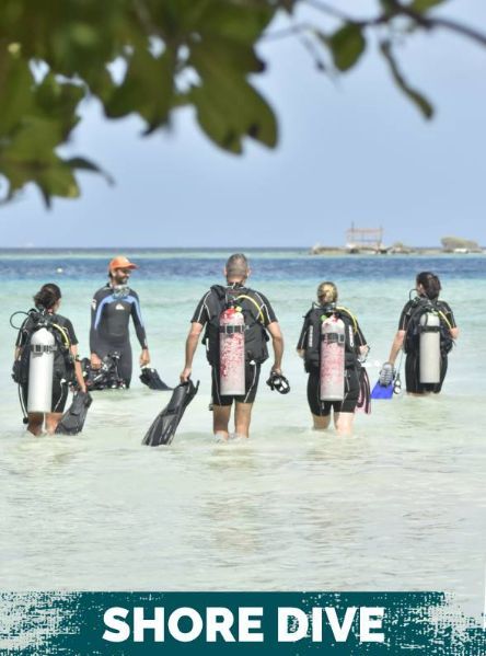 ALFI Lionfish Hunting Certification