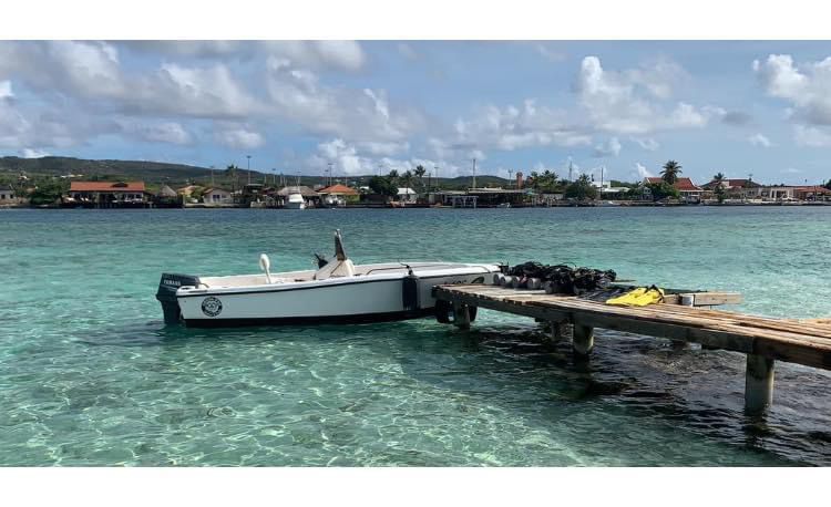 Aruba Bob photo 21