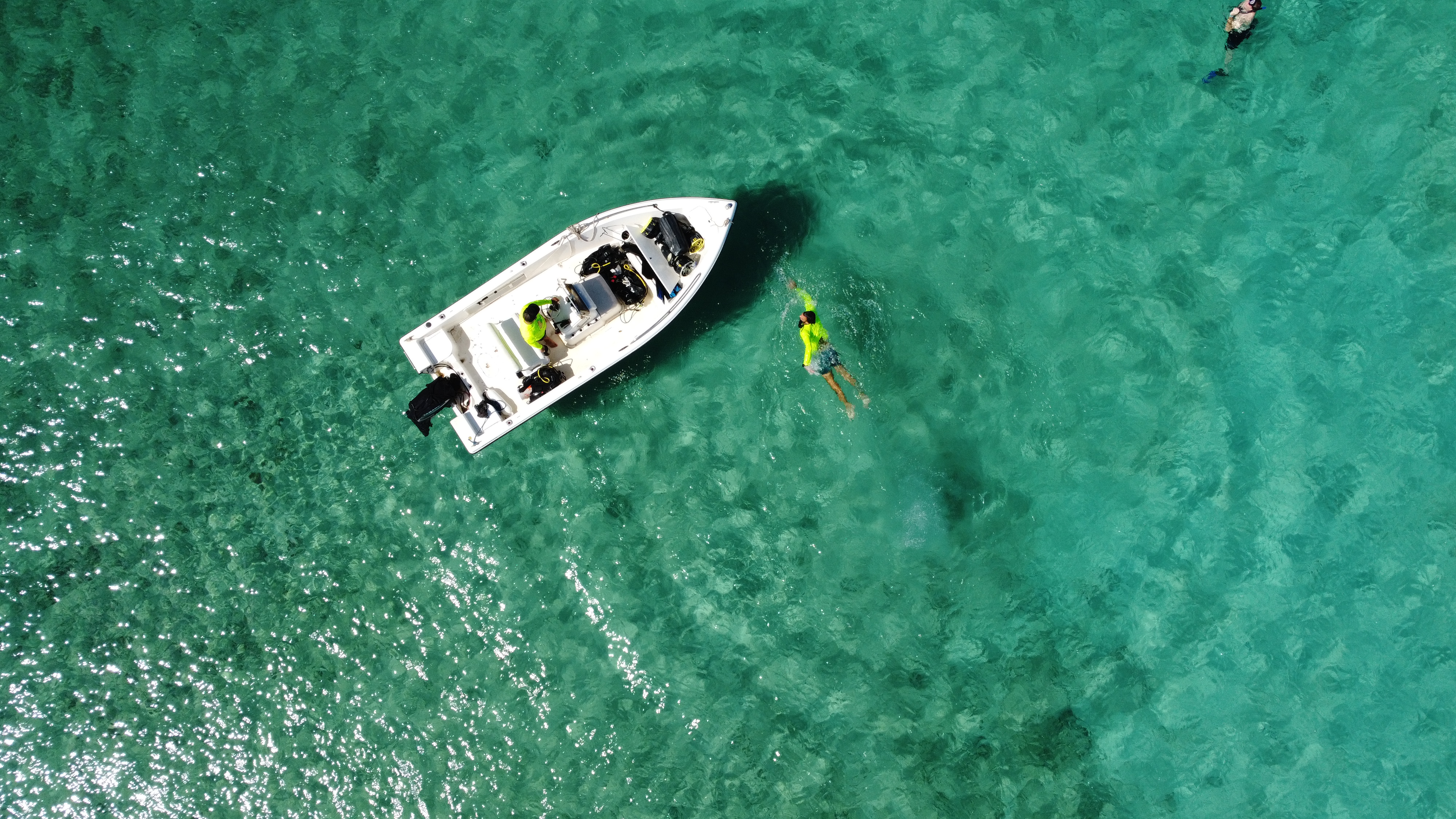 Aruba Bob photo 23